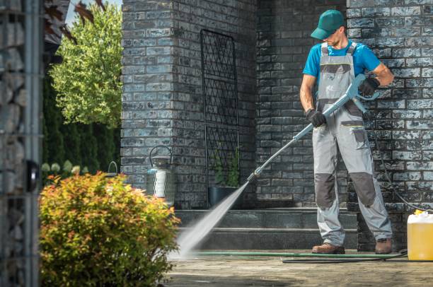 Best Building Exterior Washing  in Homer, MI